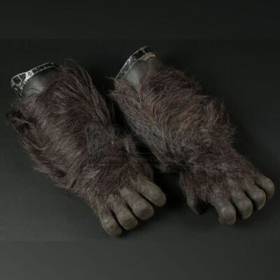 GORILLAS IN THE MIST (1988) - Pair of Knuckle Walker Gorilla Forearms