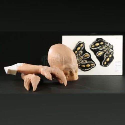 MEN IN BLACK 3 (2012) - Goldar Skullcap and Hands