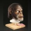 PLANET OF THE APES (2001) - Elder Chimp (Chase Penny) Mask