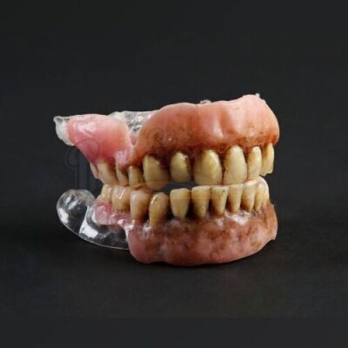 SEASON 1 EPISODE 2: "AMUSE-BOUCHE"<br> Mushroom Guy SFX Veneers