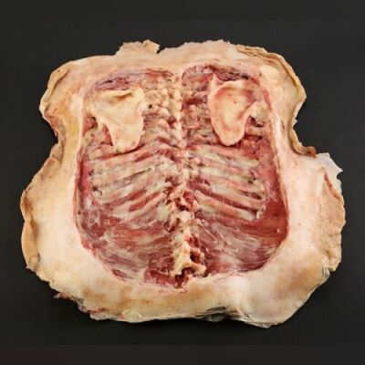 SEASON 1 EPISODE 5: "COQUILLES"<br> Angel Maker Skinned Back