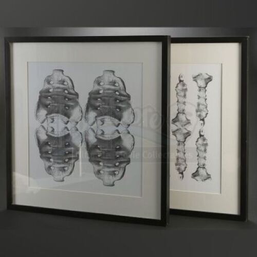 SEASON 1 EPISODE 7: "SORBET"<br>Framed Sternum and Pelvis Diagrams