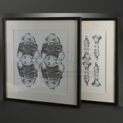 SEASON 1 EPISODE 7: "SORBET"<br>Framed Sternum and Pelvis Diagrams