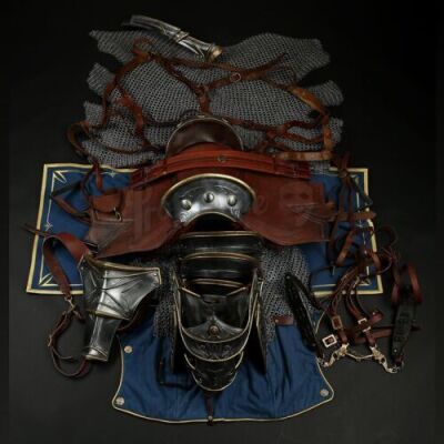 Lot # 276: Stunt Knight Horse Armor