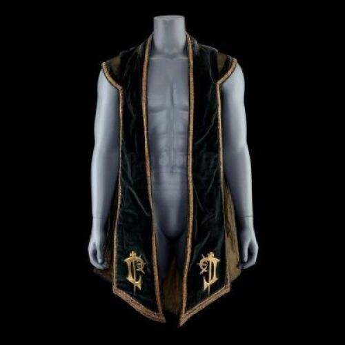 Lot # 296: Lordaeron Delegate's (Mackenzie Gray) Throne Room Robe