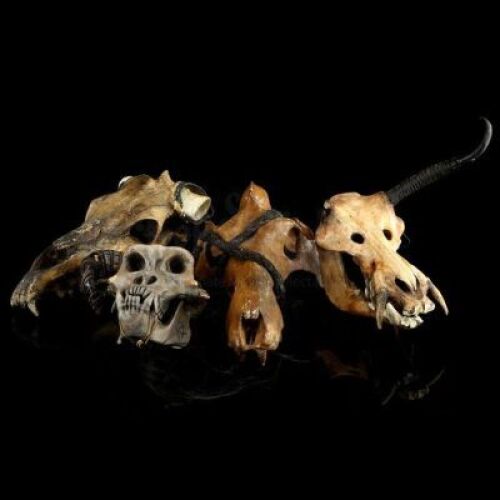 Lot # 362: Four Orc Skulls