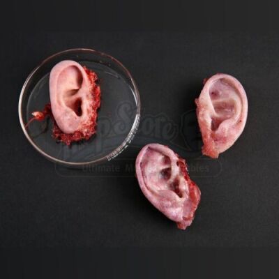 SEASON 2<br>Pair of Abigail Hobb's (Kacey Rohl) Severed Ears