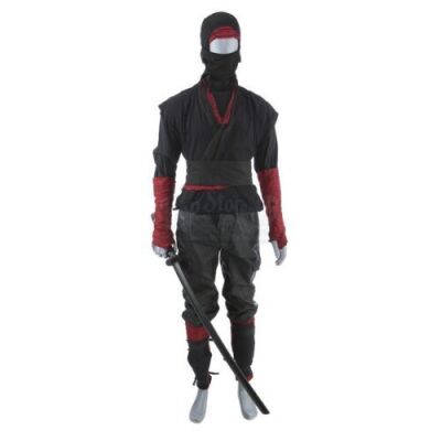 Lot # 235: The Hand Ninja Stunt Costume and Katana