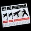 Lot # 669: Set of Three Flyers For Colleen Wing's Dojo
