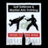 Lot # 679: Danny Rand's Flyer for Colleen Wing's Dojo