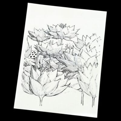 Lot # 834: Mary Walker's Flower Drawing