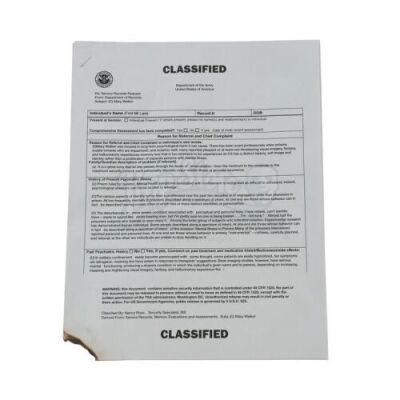 Lot # 872: Mary Walker's Classified Papers