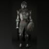 Mounted Knight Costume, Sword, and Shield