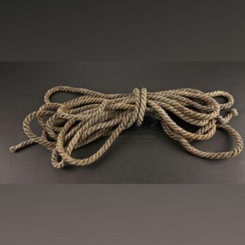 Alice's (Alicia Vikander) Rope Bindings