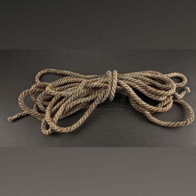 Alice's (Alicia Vikander) Rope Bindings