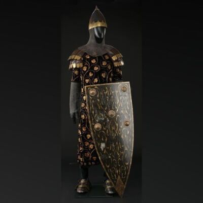 Royal Guard Costume and Shield