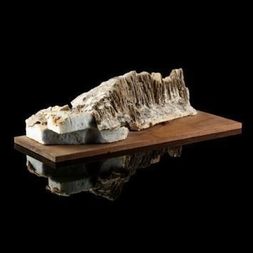 STAR WARS - EP V - THE EMPIRE STRIKES BACK (1980) - Asteroid Surface Model Miniature