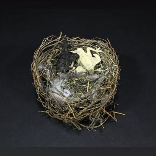 THE WOMAN IN BLACK - Eel Marsh House Fireplace Bird's Nest