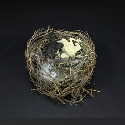 THE WOMAN IN BLACK - Eel Marsh House Fireplace Bird's Nest