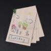 THE WOMAN IN BLACK - Arthur Kipps' (Daniel Radcliffe) Hero Diary Gift