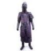 Lot # 14: Commander Deng's (Xuan Huang) Purple Deer Corps Armor with Sheathed Sword