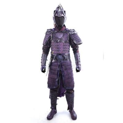 Lot # 304: Commander Deng's (Xuan Huang) Purple Deer Corps Armor with Sheathed Sword