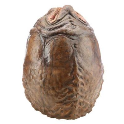 Lot #33 - AVP: ALIEN VS. PREDATOR (2004) - Xenomorph Egg