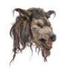 Lot #246 - DOG SOLDIERS (2002) - Stunt Captain Ryan (Liam Cunningham) Werewolf Mask