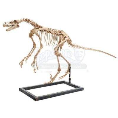 Lot #472 - JURASSIC WORLD: FALLEN KINGDOM (2018) - Diorama Room Five-foot-Nine Velociraptor Skeleton