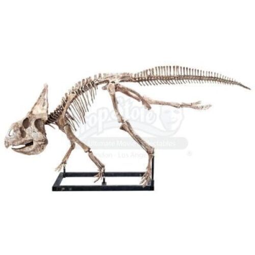 Lot #477 - JURASSIC WORLD: FALLEN KINGDOM (2018) - Diorama Room Six-foot Protoceratops Skeleton