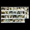 Lot #545 - MRS. DOUBTFIRE (1993) - Continuity Polaroids Featuring Robin Williams