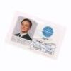 Lot #185 - CATCH ME IF YOU CAN (2002) - Frank Abagnale Jr.s (Leonardo DiCaprio) Pan Am ID