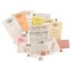 Lot #322 - THE GRAND BUDAPEST HOTEL (2014) - Newspaper, Letters and Assorted Postage Slips