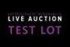 BIDDING PRACTICE TEST LOT - PLEASE TEST YOUR BID BUTTON - THE VIDEO STREAM WILL BEGIN at 12:50