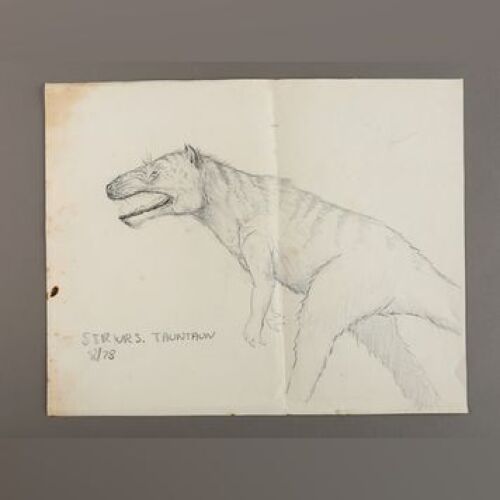 STAR WARS: EPISODE V - THE EMPIRE STRIKES BACK - Hand-Drawn 'Strwrs [sic] Tauntaun' Sketch by Phil Tippett