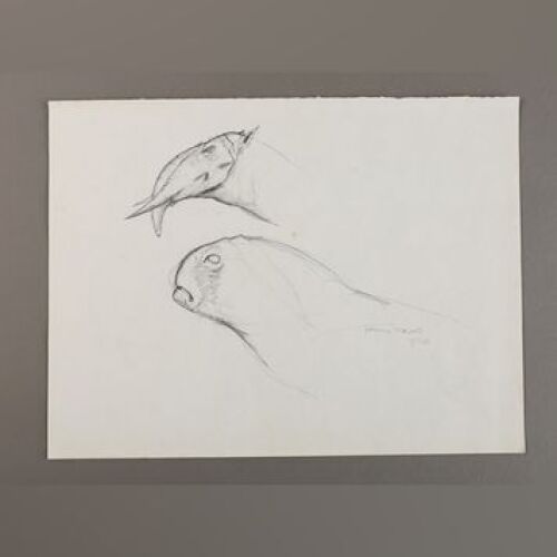 STAR WARS: EPISODE V - THE EMPIRE STRIKES BACK - Hand-Drawn 'Early Tauns' Sketch by Phil Tippett