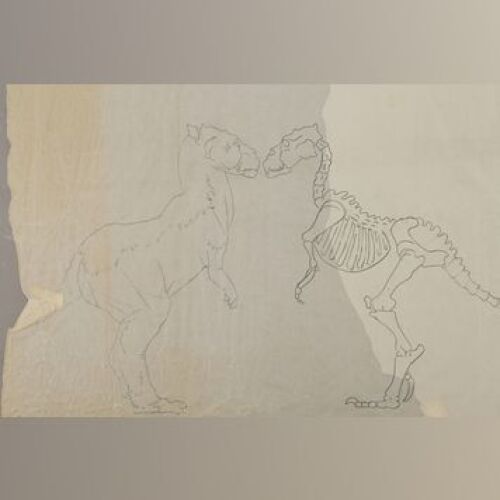 STAR WARS: EPISODE V - THE EMPIRE STRIKES BACK - Hand-Drawn Tauntaun Skeleton Drawings by Phil Tippett