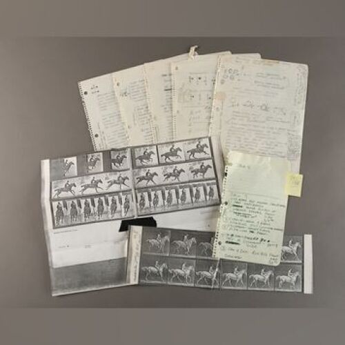 STAR WARS: EPISODE V - THE EMPIRE STRIKES BACK - Phil Tippett's Handwritten Notes and Printed Horse Stride Reference Sheets