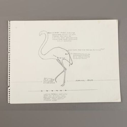 STAR WARS: EPISODE V - THE EMPIRE STRIKES BACK - Hand-Drawn Walking Study of Flamingo by Phil Tippett