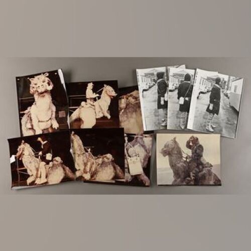 STAR WARS: EPISODE V - THE EMPIRE STRIKES BACK - Luke (Mark Hamill), Han (Harrison Ford), and Tauntaun Reference Photos