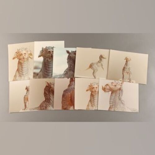 STAR WARS: EPISODE V - THE EMPIRE STRIKES BACK - Tauntaun Color Reference Photo Set