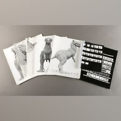 STAR WARS: EPISODE V - THE EMPIRE STRIKES BACK - Oversized Tauntaun Maquette Reference Photo Set