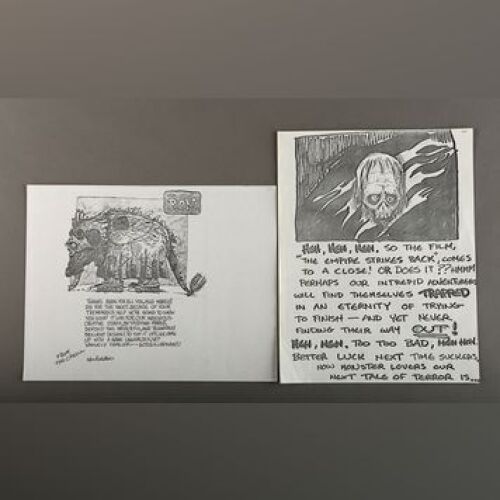 STAR WARS: EPISODE V - THE EMPIRE STRIKES BACK - Printed Humorous ILM Artwork