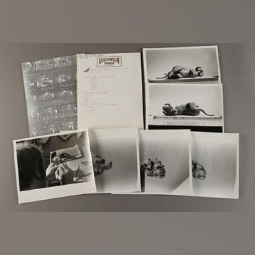 STAR WARS: EPISODE V - THE EMPIRE STRIKES BACK - Tauntaun Design and Reference Photos