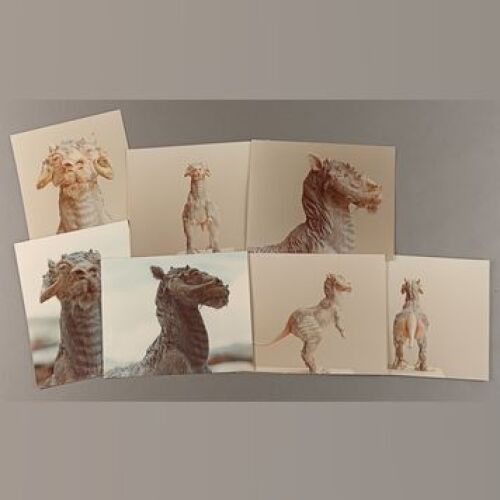 STAR WARS: EPISODE V - THE EMPIRE STRIKES BACK - Tauntaun Color Reference Photo Set