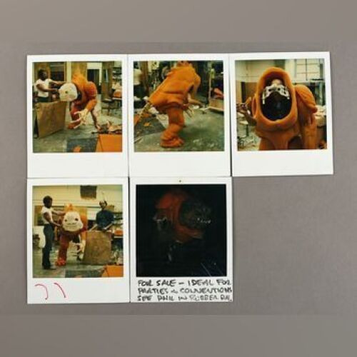 STAR WARS: EPISODE VI - RETURN OF THE JEDI - Rancor Costume Polaroids