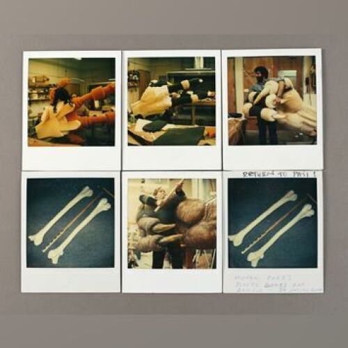 STAR WARS: EPISODE VI - RETURN OF THE JEDI - Rancor Hand Polaroids
