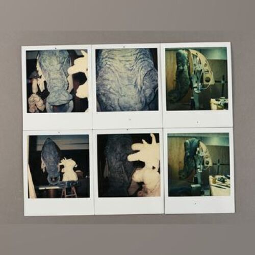 STAR WARS: EPISODE VI - RETURN OF THE JEDI - Ephant Mon (Andy Cunningham) Polaroids