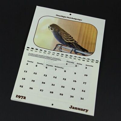 RUSH - James Hunt's (Chris Hemsworth) Apartment Budgie Calendar (RP101)