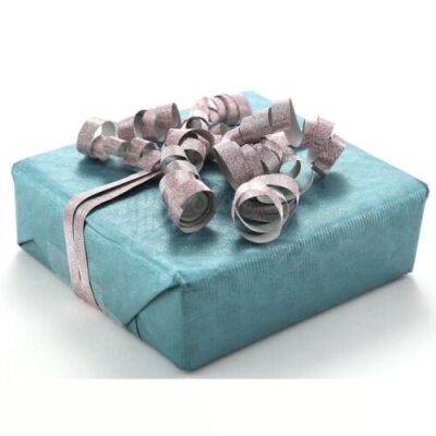 Carlisle and Esme Cullen's Present for Bella